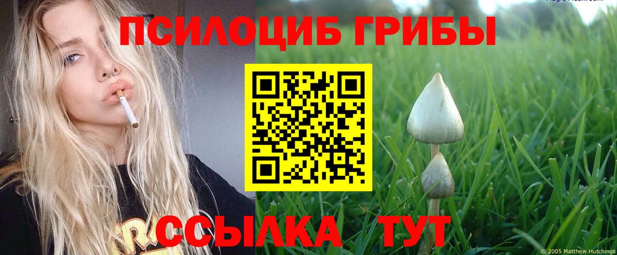 Псилоцибиновые грибы ЛСД  Вход с VPN  где найти   Бутурлиновка 
