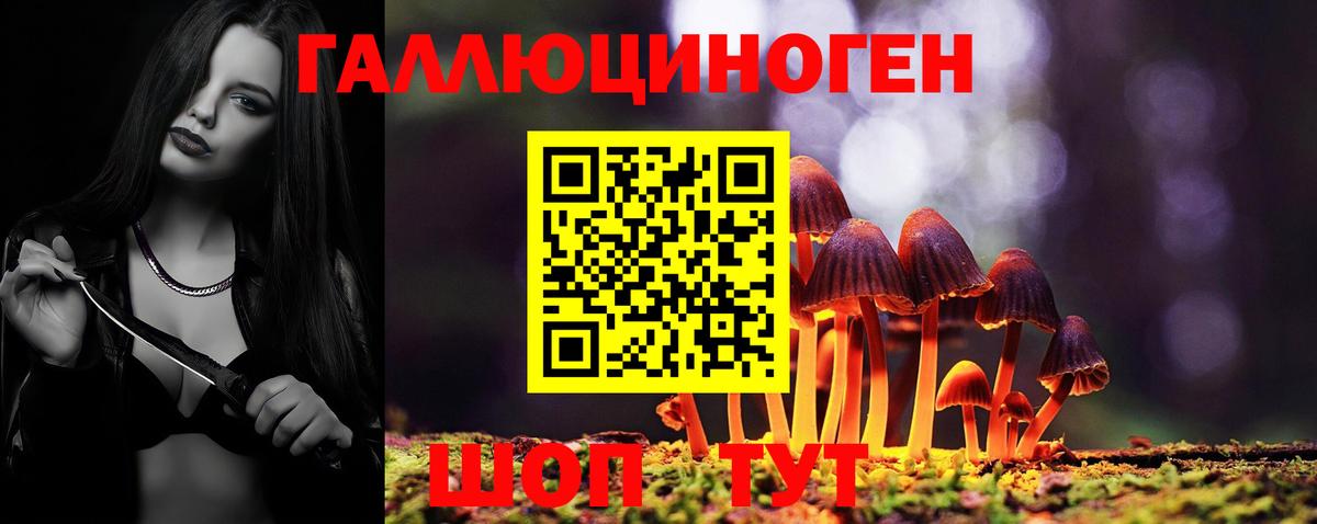 Псилоцибиновые грибы Cubensis Бутурлиновка