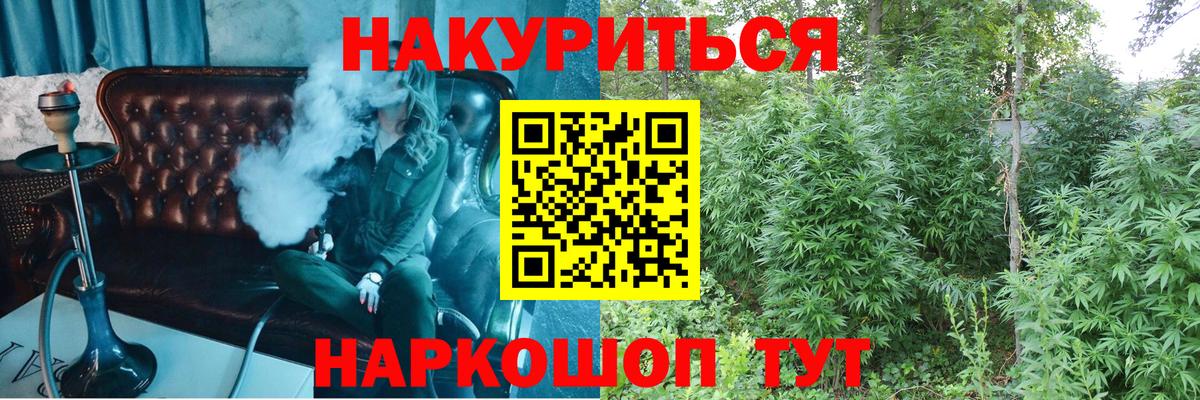 Конопля сатива Бутурлиновка